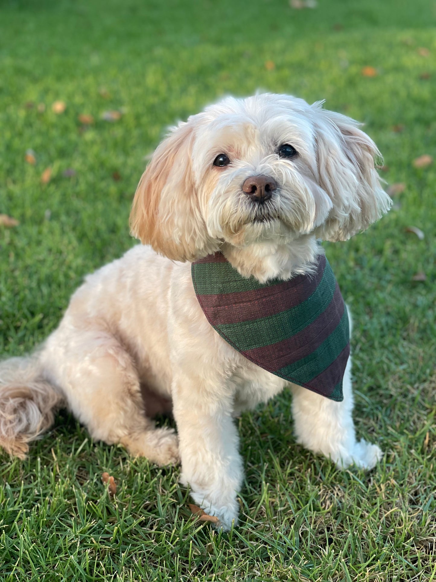 red and green striped print dog bib dog bandana baby